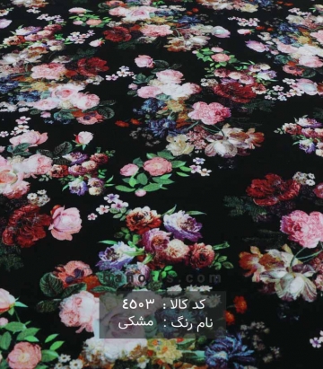 نخی(کودری)