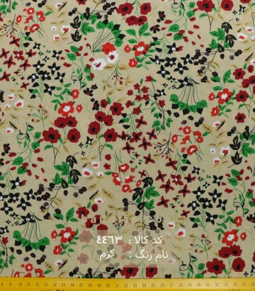 نخی (کودری)