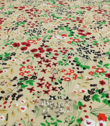 نخی (کودری)