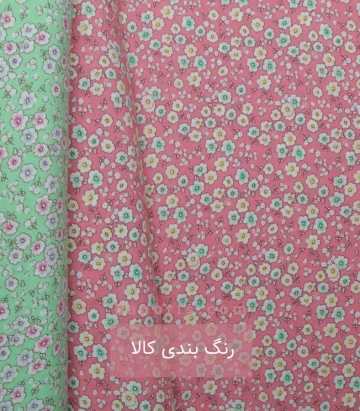 نخی (کودری)