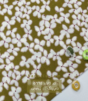 نخی(کودری)