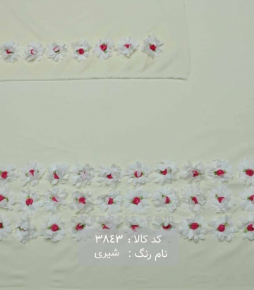 مانتویی حاشیه گلدار