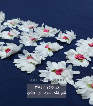 مانتویی حاشیه گلدار