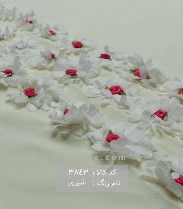 مانتویی حاشیه گلدار