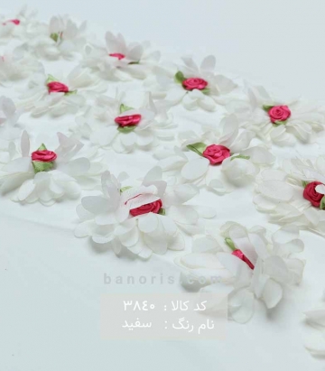 مانتویی حاشیه گلدار