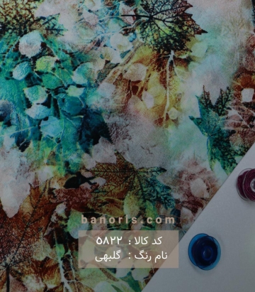نخی(کودری)