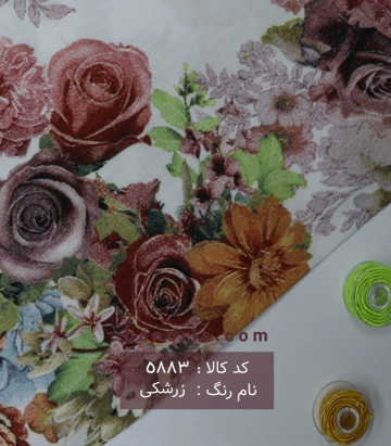 نخی(کودری)