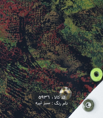نخی(کودری)