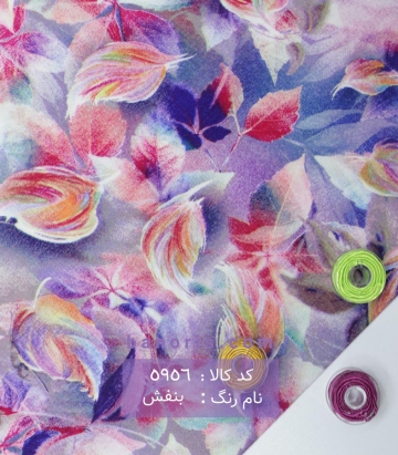 نخی(کودری)
