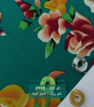 نخی (کودری)