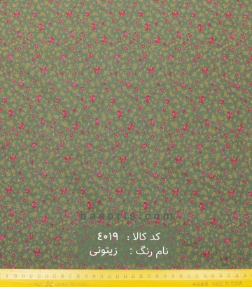 نخی(کودری)