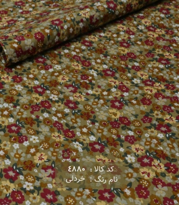 پوپلین