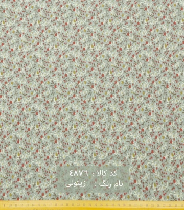 پوپلین