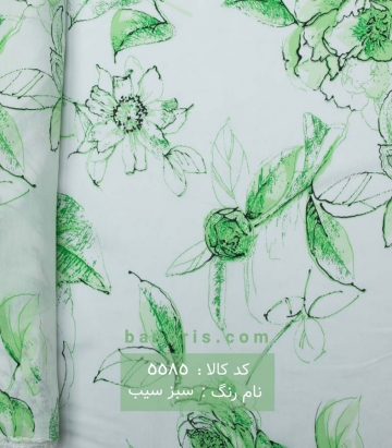 نخیkbc