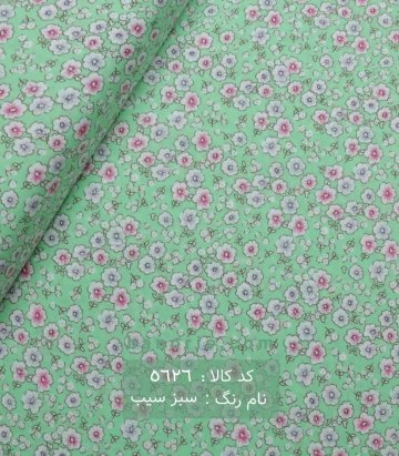 نخی (کودری)