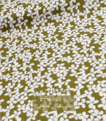 نخی(کودری)