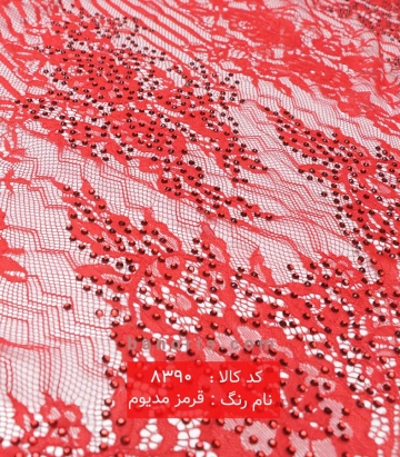 دانتل فرانسه