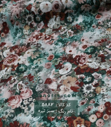 نخی (کودری)