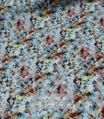 نخی (کودری)