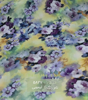 نخی(کودری)