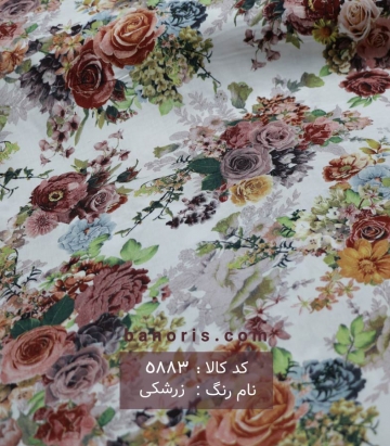 نخی(کودری)