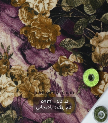 نخی(کودری)