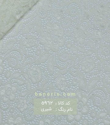 دانتل اکلیلی