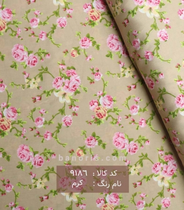 نخی