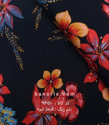 نخی کره ای