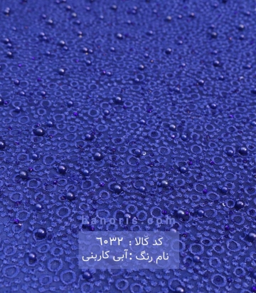 گیپور کله مورچه ای
