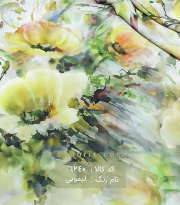 جودون 3D