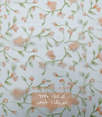 تور ارگانزا