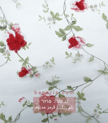 تور ارگانزا